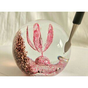 Caithness Scotland Glass DESERT ORCHID Paperweight LTD #268/750 FREE SHIPPING!